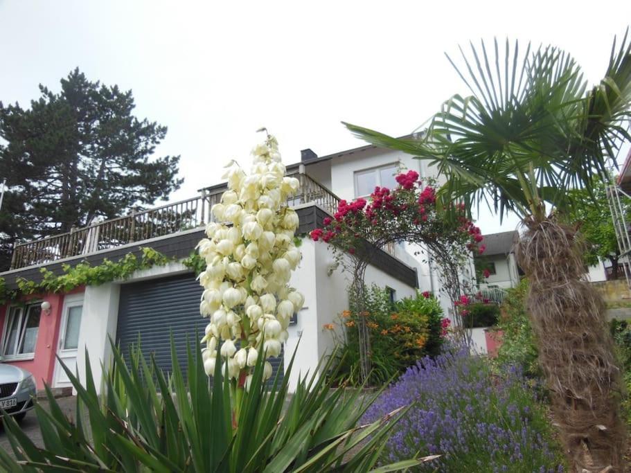 Julia'S Mosel Villa Appartement Nicolas Traben-Trarbach Exterior photo
